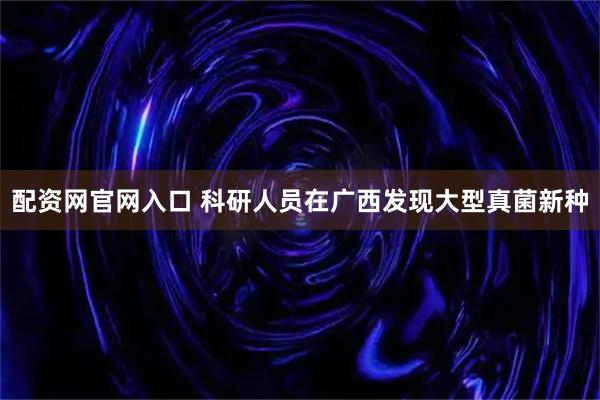 配资网官网入口 科研人员在广西发现大型真菌新种